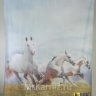 Штора для ванной HORSE Лошади фото 2